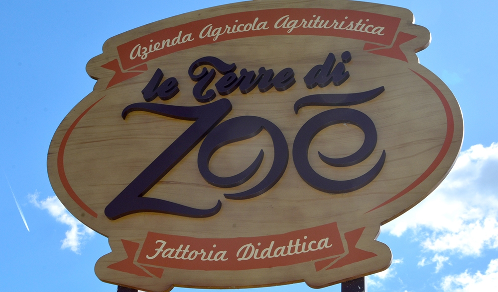 La nostra evoluzione 1