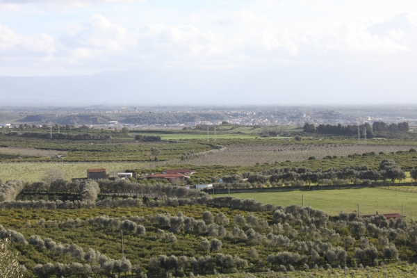 Azienda Agricola Gerace Maria Caterina Le terre di zoè