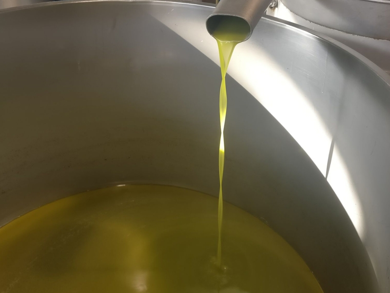 Organic extra virgin olive oil Le terre di zoè