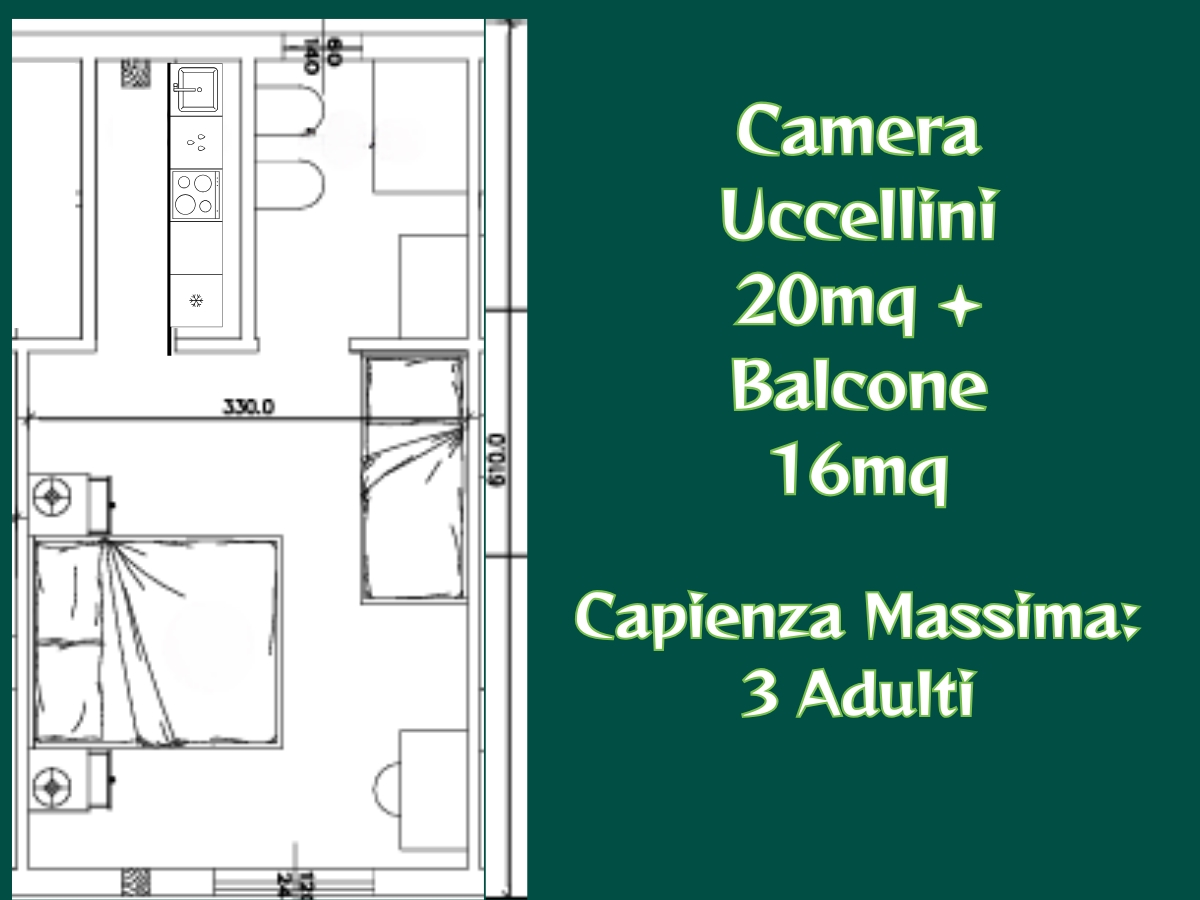 Uccellini Le terre di zoè 8