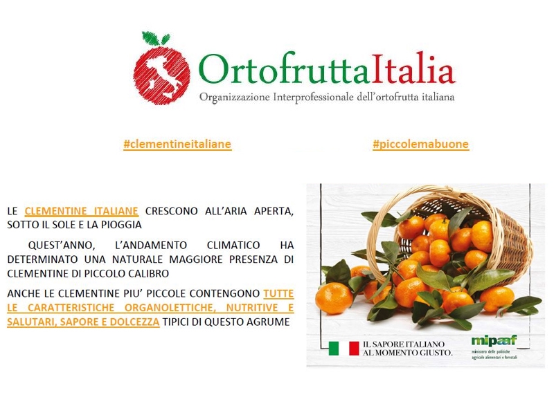 The MIPAAF reports a major sales crisis in the Italian Clementine sector Le terre di zoè