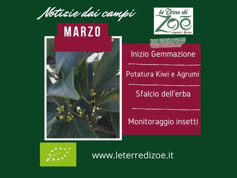 Notizie dai campi - Marzo Le terre di zoè