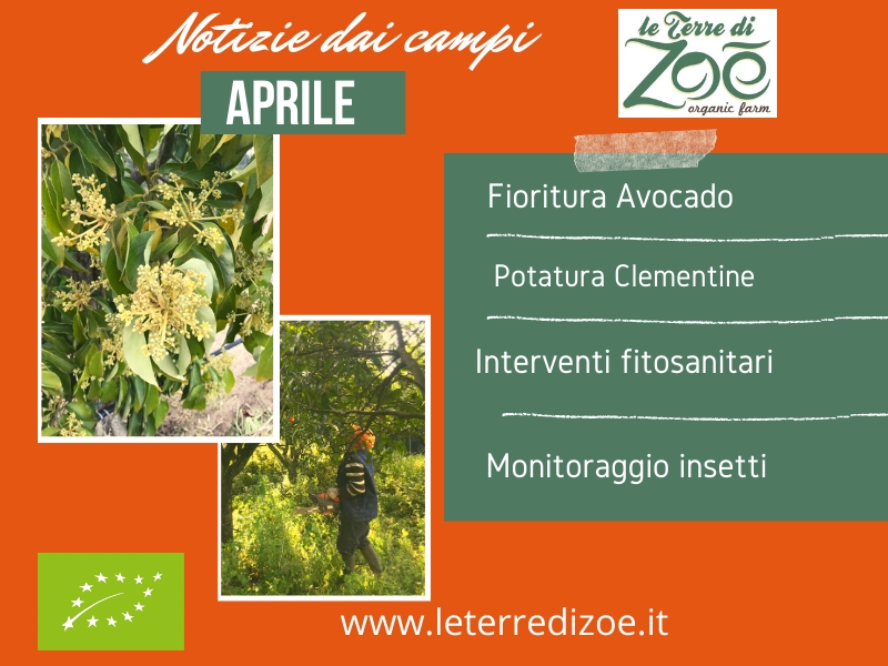 News from the fields - April Le terre di zoè