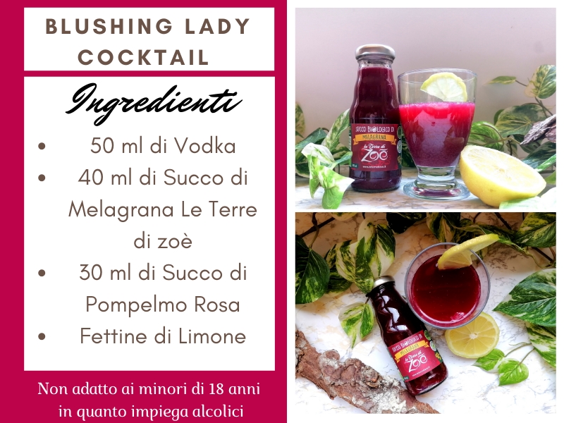 Blushing Lady Cocktail con Succo di Melagrana e Vodka Le terre di zoè