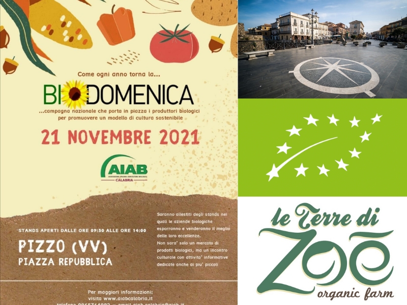 Domani 21 Novembre- Vi aspettiamo a Pizzo in piazza Repubblica per la BioDomenica ( dalle 9.30 alle  Le terre di zoè