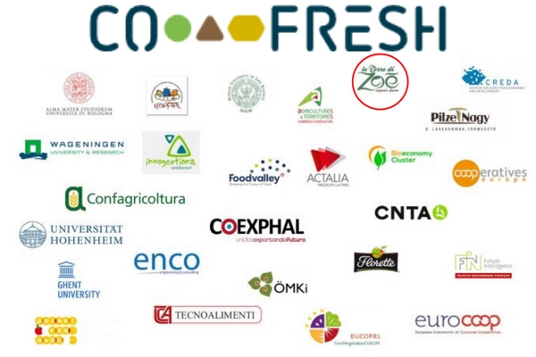 Proyecto europeo Co-Fresh y eliminación de amianto Le terre di zoè