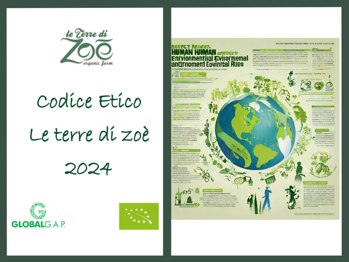  Código de ética para el año fiscal 24: lanzamiento del código de ética de Le terre di zoè Le terre di zoè