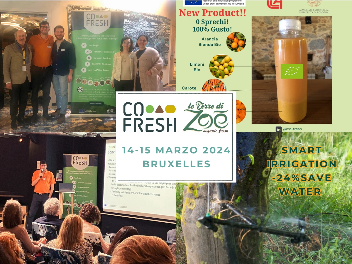 Co-Fresh: Presentamos los resultados de las innovaciones en Bruselas Le terre di zoè