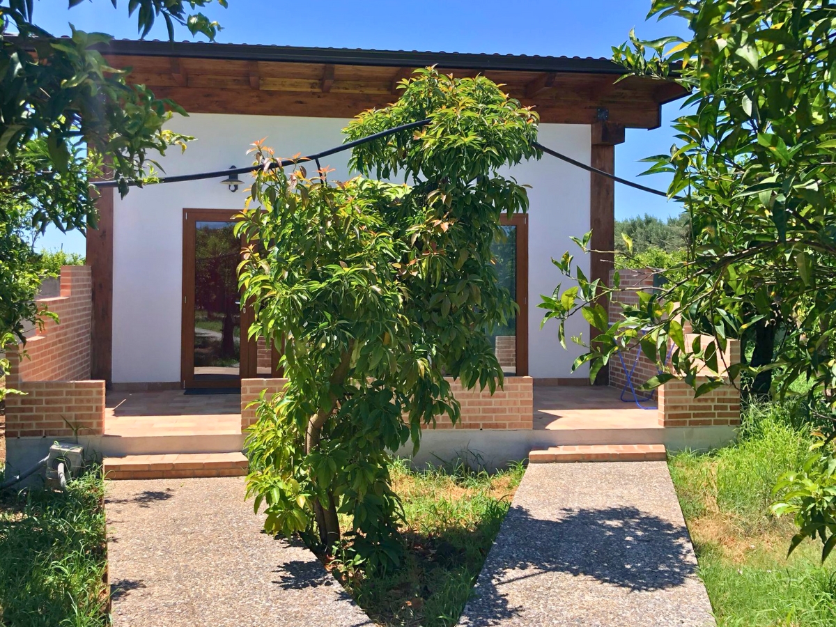 Avocado Le terre di zoè