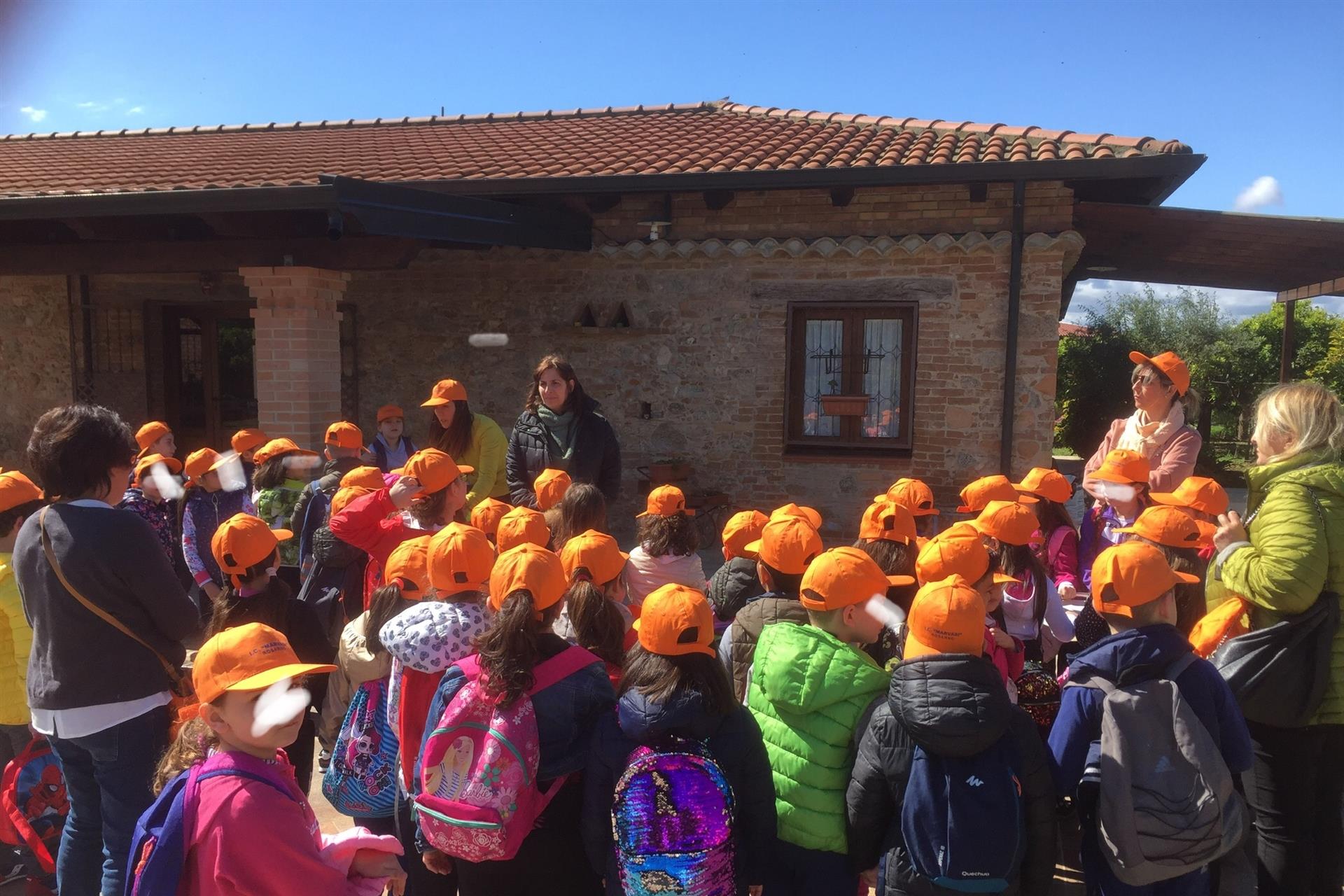 Target Le terre di zoè 1