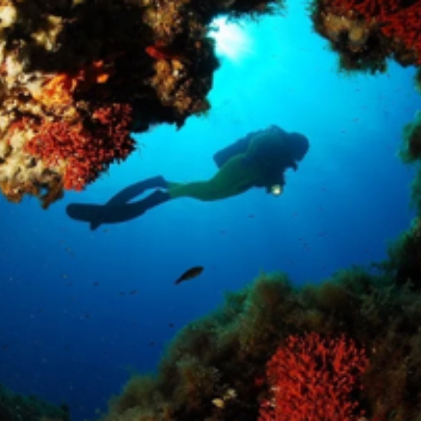 Exciting Experiences Le terre di zoè