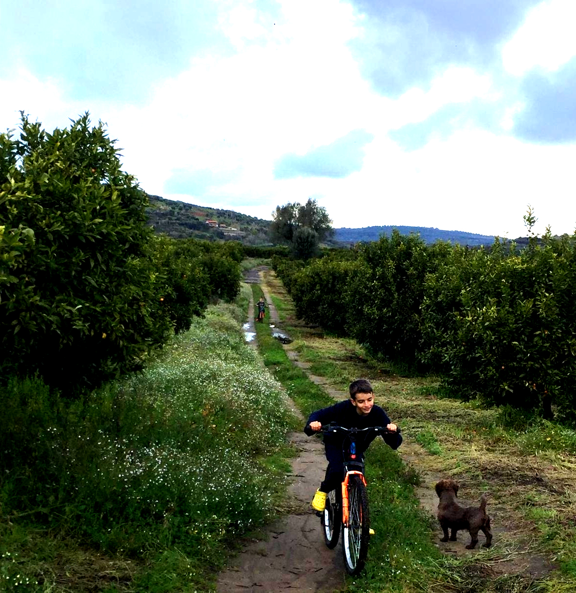 Itinerari in Bici Le terre di zoè