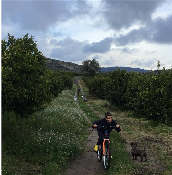 Itinerari in Bici Le terre di zoè