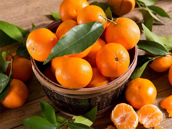 Clementine Bio Le terre di zoè