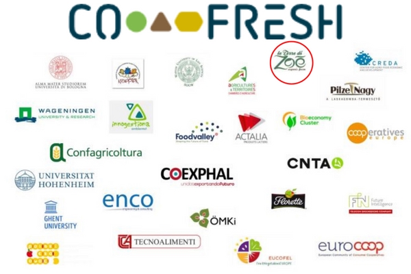 Europäisches Co-Fresh-Projekt und Asbestentsorgung