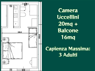 Uccellini Le terre di zoè 8