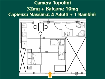 Topolini Le terre di zoè 7