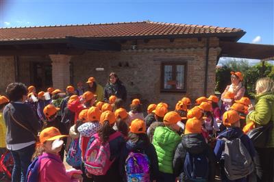 Target Le terre di zoè 1