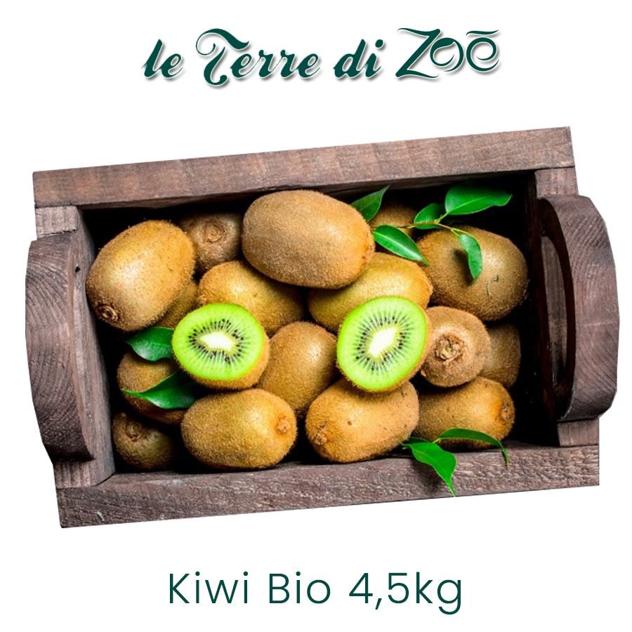 Organic Kiwi Hayward from Calabria in 1kg boxes Le Terre di Zoè medium