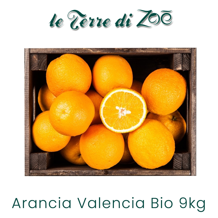 Orange Valence biologique de Calabre en boîte de 9 kg Le Terre di Zoè medium