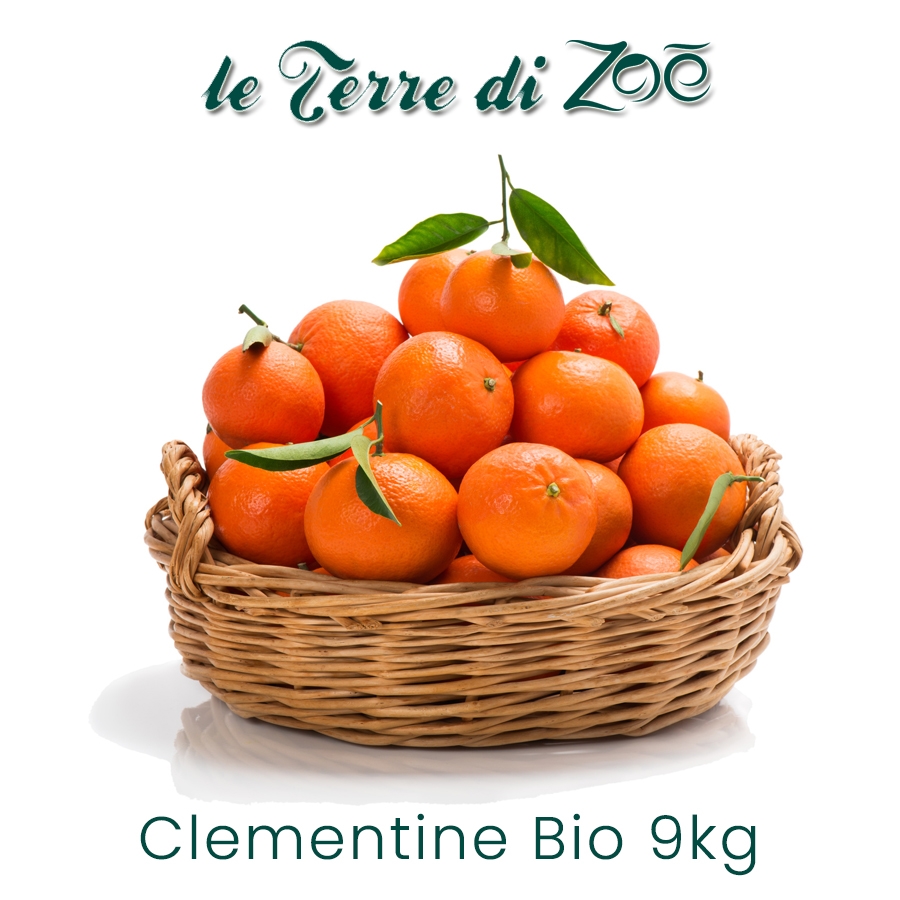 Clementinas de Calabria orgánica en caja de 10 kg Le terre di zoè
