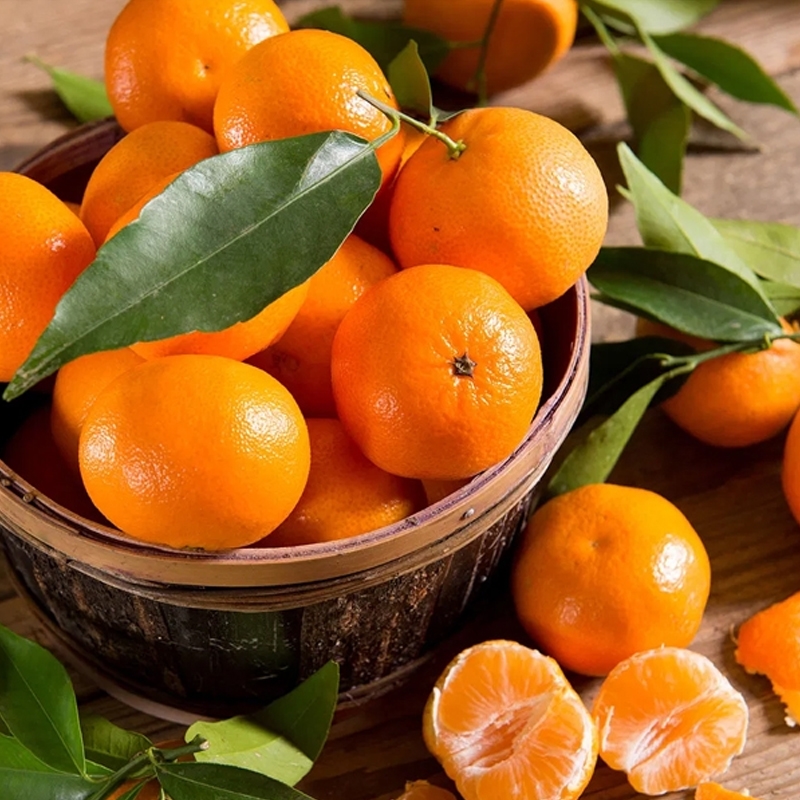 Clementinas de Calabria orgánica en caja de 10 kg Le terre di zoè 1