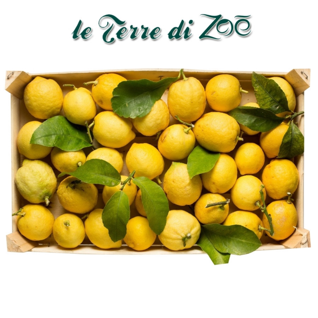 Limón de Calabria orgánica en caja de 9 kg Le Terre di Zoè