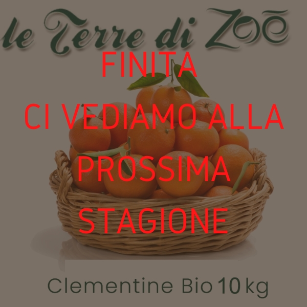 Clementinas de Calabria orgánica en caja de 10 kg Le terre di zoè