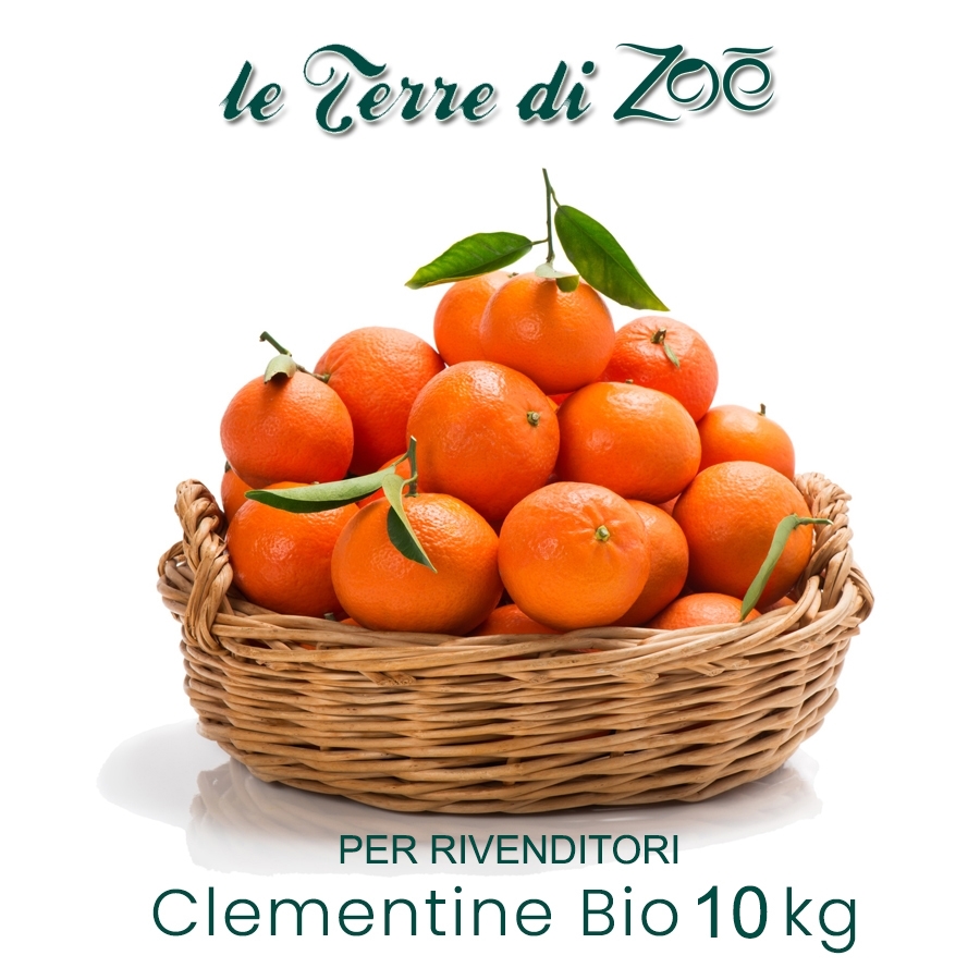 Clementine Biologiche di Calabria in cassetta da 15 kg Le Terre di Zoè