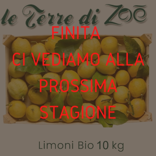 Limón de Calabria orgánica en caja de 9 kg Le Terre di Zoè