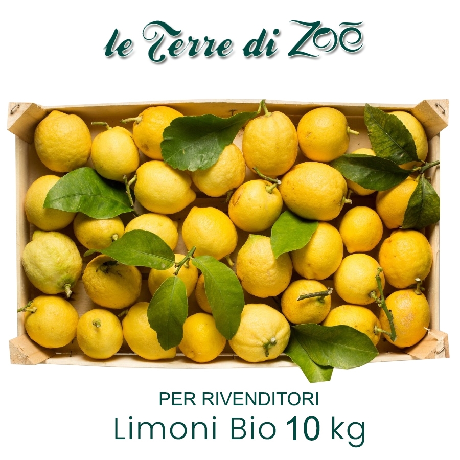 Citron de Calabre biologique en boîte de 9kg Le Terre di Zoè 1