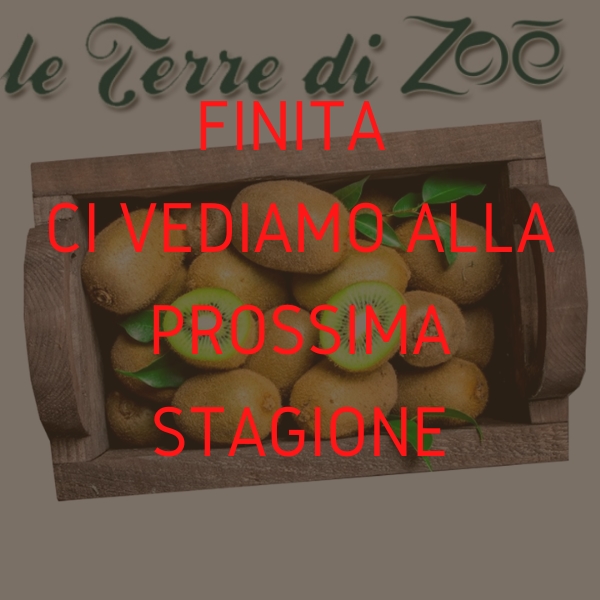 Organic Kiwi Hayward from Calabria in 10kg boxes Le Terre di Zoè