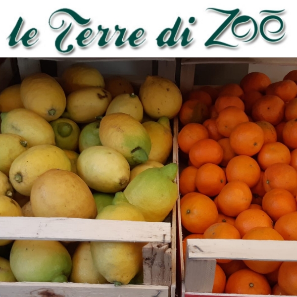 Clementine Biologiche di Calabria (7kg) e Limoni Biologici (2Kg) in cassetta Le Terre di Zoè