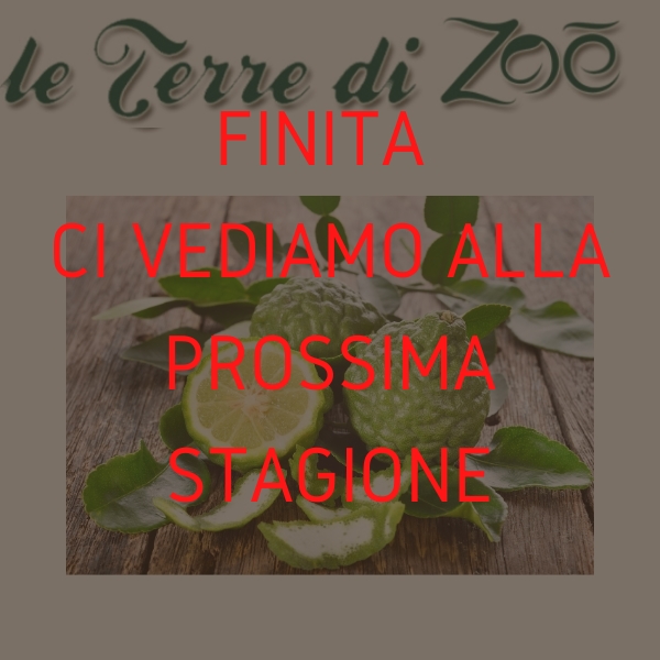 Bergamotto Biologico di Calabria in cassetta da 1kg Le terre di zoè