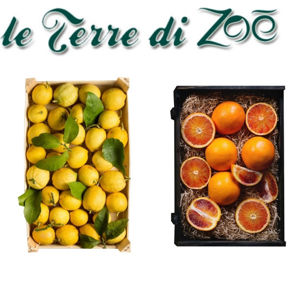 Arance Moro Biologiche di Calabria (5kg) e Limoni Biologici (4Kg) in cassetta Le Terre di Zoè