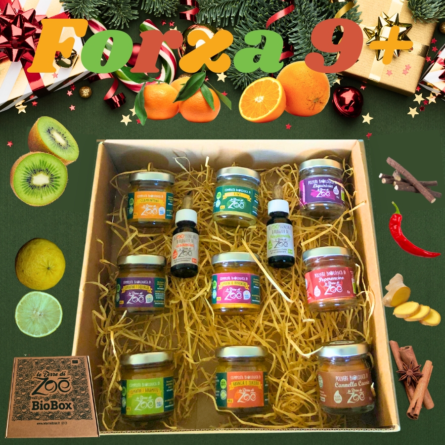9 selection of our best compotes and spices + Orange and Bergamot essential oil Le terre di zoè