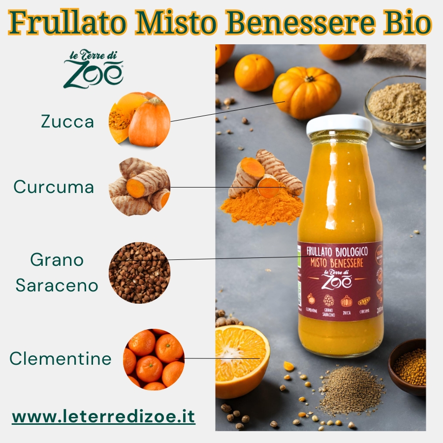 Frullato Misto Benessere Succo Clementine,Zucca, Grano Saraceno, Curcuma 200ml Le terre di zoè 2