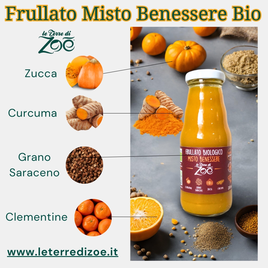 Jus Mixte de Smoothie Bien-être Clémentine, Citrouille, Sarrasin, Curcuma 200ml Le terre di zoè 2