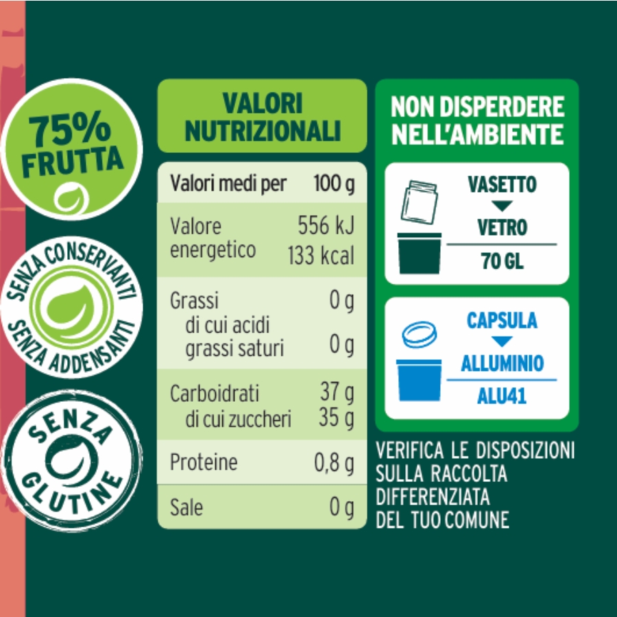 Bio-Kürbiskompott mit Gewürzen, 260 g Le terre di zoè 2
