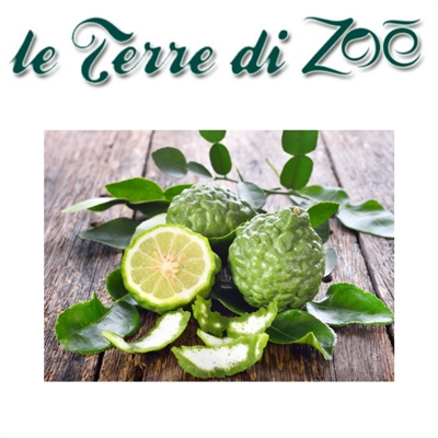 Italian Organic Compotes Bergamot Le terre di zoè 1