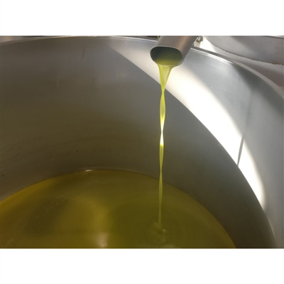 Olio Extra Vergine di Oliva Biologica di Calabria Monocultivar Ottobratica 500ml Vetro Le terre di zoè 4