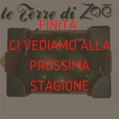 Aguacate orgánico de Calabria en cajas de 3 kg Le Terre di Zoè 2