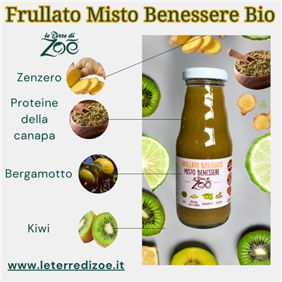 Mixed Wellness Smoothie Kiwi-Bergamot-Hemp-Ginger 200ml Le terre di zoè 2