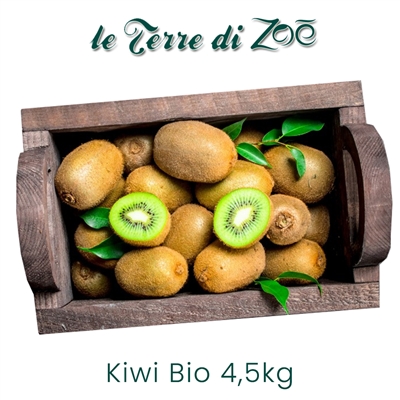 Organic Kiwi Hayward from Calabria in 4.5 kg boxes