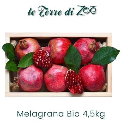Bio Granatapfel Qualität Jolly Red und Wonderfull